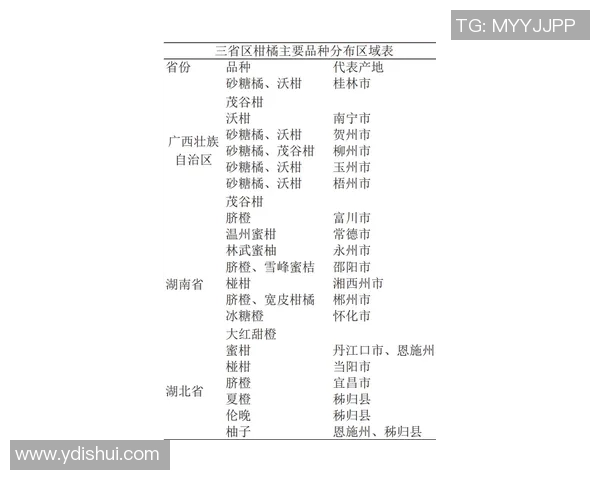 索肖与沙特鲁的激烈对决揭示法乙联赛新动态与球队未来潜力分析