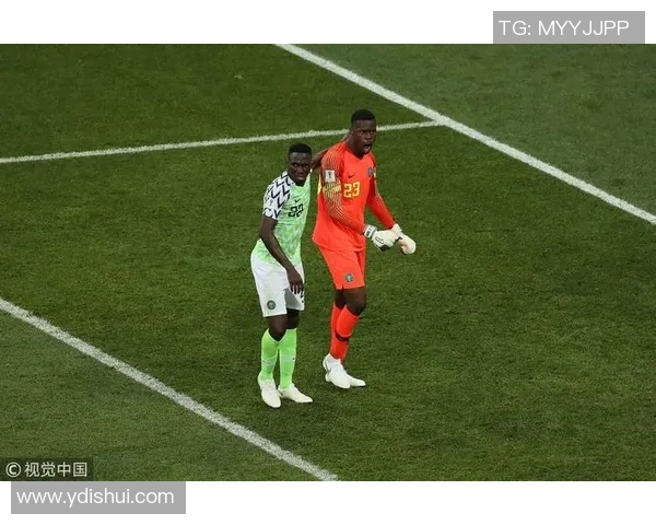 尼日利亚与冰岛精彩对决录像回放及赛后分析分享