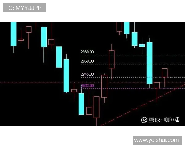 德国与瑞典比赛投注赔率分析及预测策略探讨