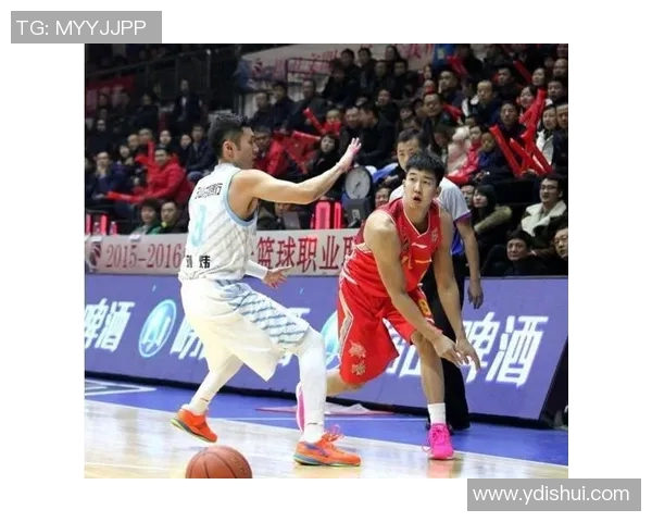 2017全运会精彩对决辽宁队与八一队的巅峰较量回顾与分析 2017全运会精彩对决辽宁队与八一队的巅峰较量回顾与分析