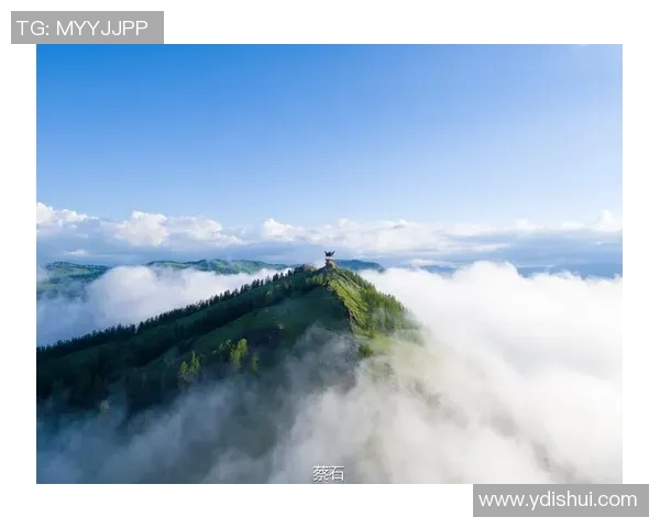 探索哈德森的魅力与历史深度揭示这座城市的独特文化与风景之旅 探索哈德森的魅力与历史深度揭示这座城市的独特文化与风景之旅