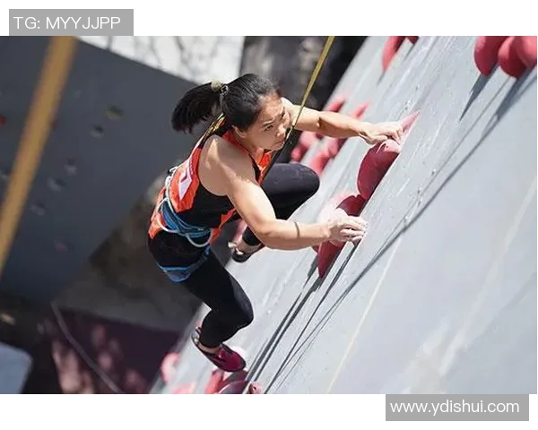 北京攀岩队的挑战与成长：一段不懈追求的攀岩历程纪实MBA