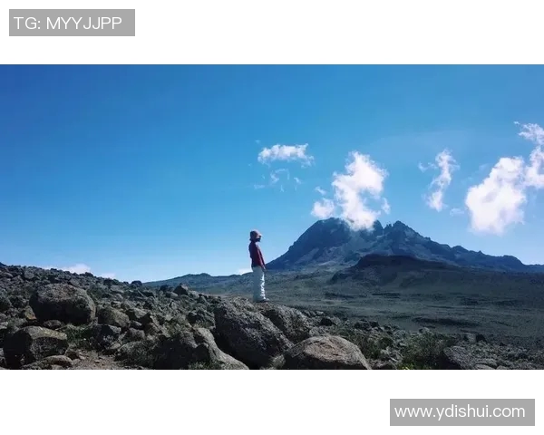 极限运动的成功秘诀刘军分享他的独特经历与见解MBA