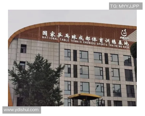 成都乒乓球队状态分析与发展展望聚焦乒乓球运动的未来潜力与挑战MBA