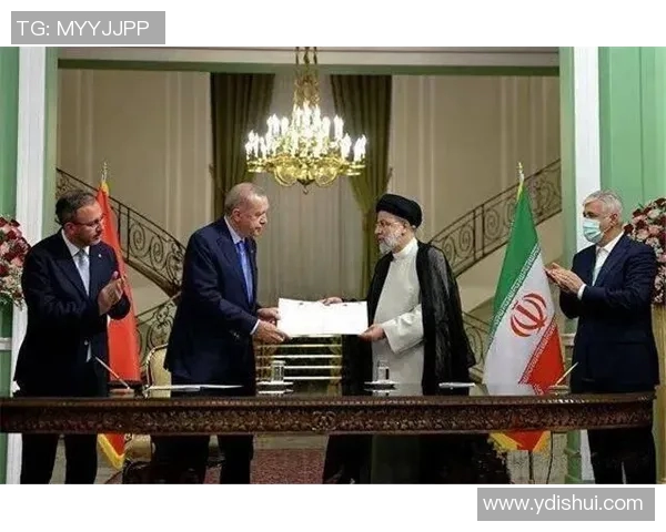 沙特与埃及经济文化发展对比分析及其影响因素探讨 沙特与埃及经济文化发展对比分析及其影响因素探讨