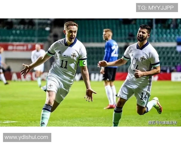 法国与爱尔兰友谊赛精彩回顾与战术分析,球迷热情高涨 法国与爱尔兰友谊赛精彩回顾与战术分析,球迷热情高涨