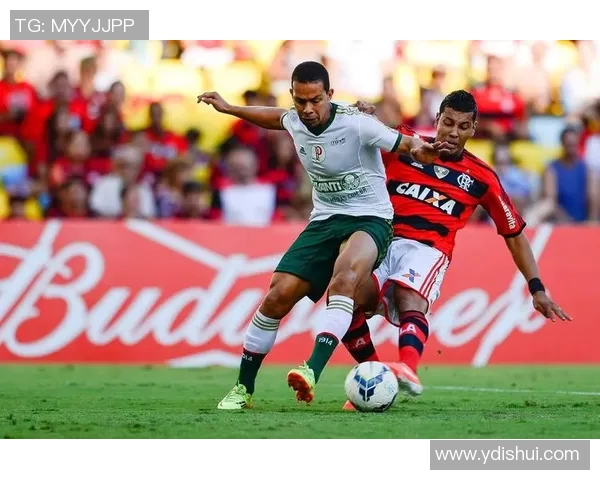 科罗拉多队与芝加哥火队的激烈对决展现足球魅力与团队精神