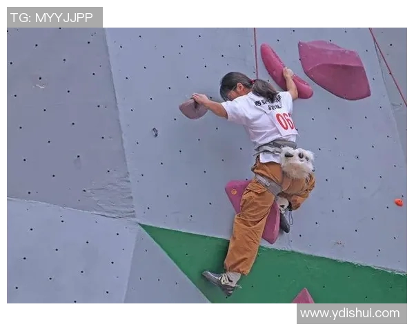 西安攀岩队探索速度攀岩的挑战与未来发展之路