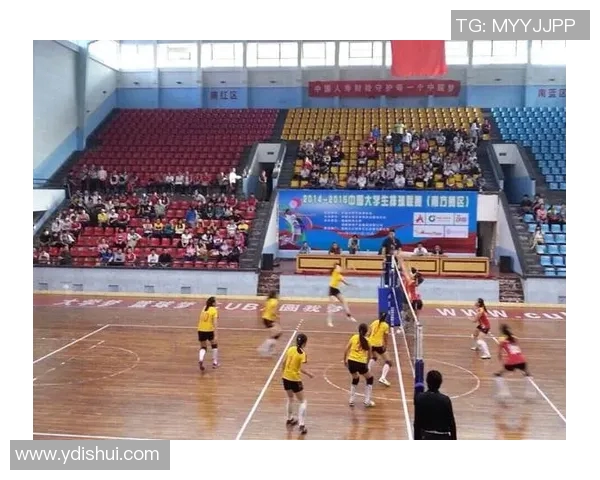 上海排球队在排球耐力排行榜中荣获第四名展现出强大实力与潜力